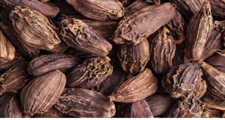 keeps heart healthy, Health Benefits Of Cardamom