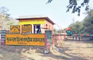 बाघों की राह में रोड़ा नहीं बनेगा दिल्ली-मुंबई एक्सप्रेस-वे