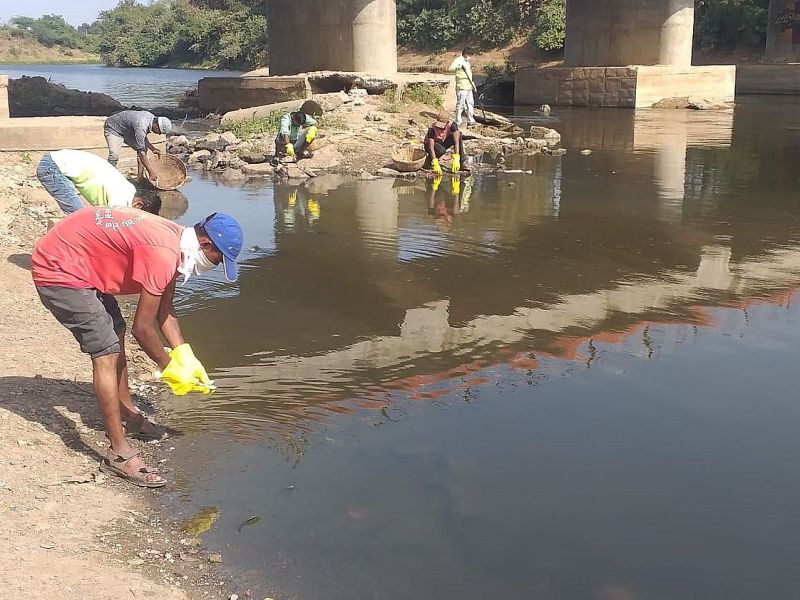 Bardoli News; मृत मछलियों को निकालकर क्लोरीन पाउडर छिड़का