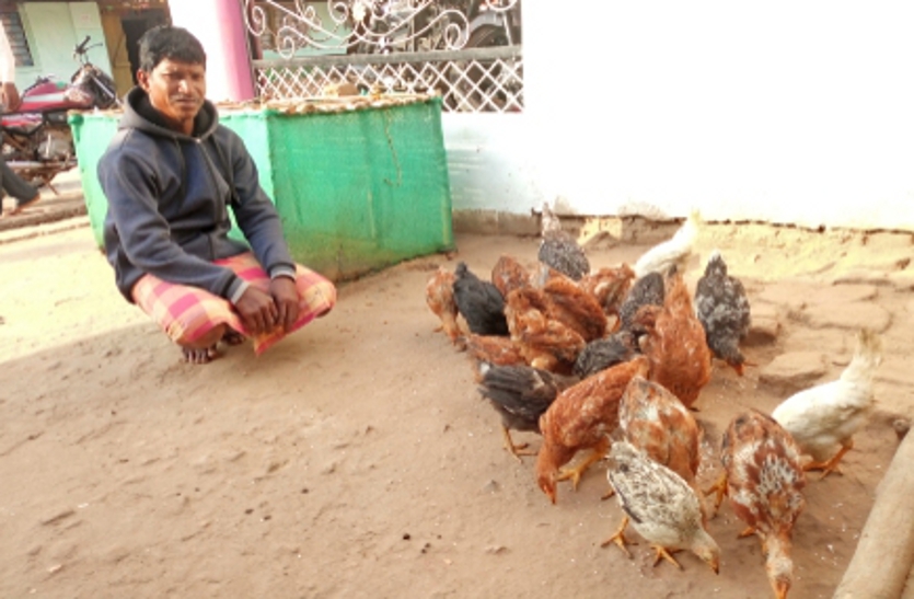 Poultry Scheme : 364 Happiness among the beneficiaries