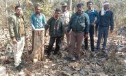 सागौन के जंगलों पर लकड़ी तस्करों की काली नजर