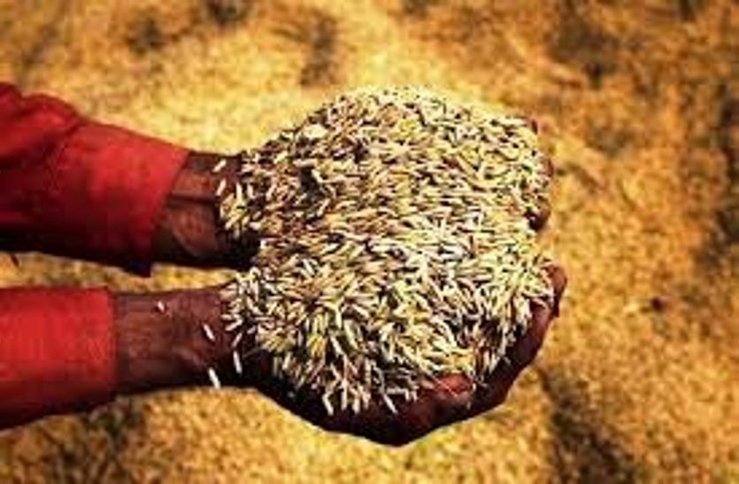 रायपुर : जिन किसानों को टोकन दिए गए हैं उनका परीक्षण कर धान खरीदी की जाएगी : भूपेश बघेल