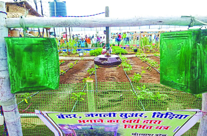 आठवीं पास किसान का जुगाड़, जानवरों से फसल बचाने निकाला अनोखा तरीका