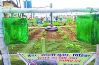 आठवीं पास किसान का जुगाड़, जानवरों से फसल बचाने निकाला अनोखा तरीका