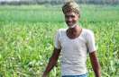 Farmers will benefit from increase in support price in bhilwara