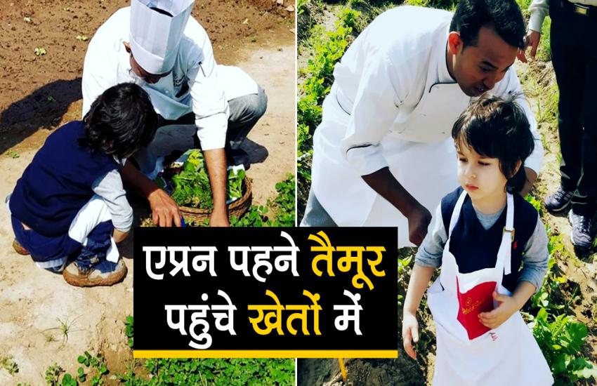 खेतों में सब्जियां काटते नज़र आए सैफ-करीना के लाडले तैमूर अली खान, सोशल मीडिया पर वायरल हो रहा है वीडियो