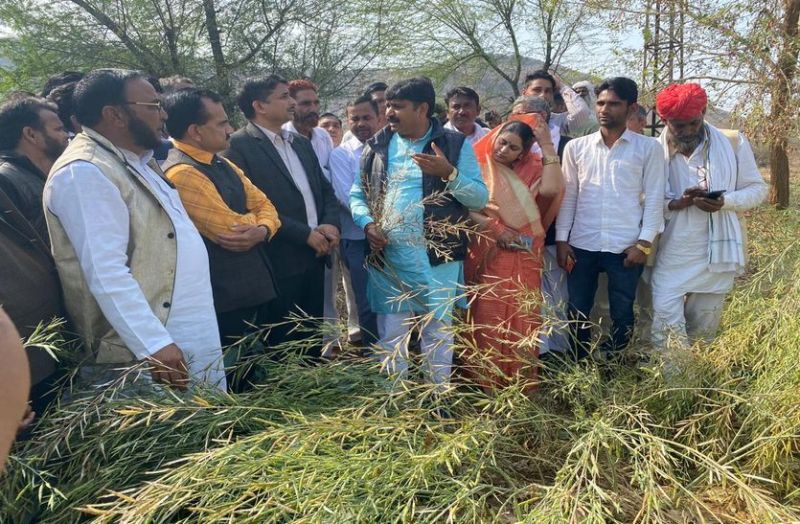 किसानों ने 50 प्रतिशत बताया, प्रशासन ने माना अधिकतम 20 फीसद नुकसान