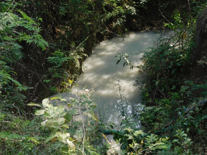 इस गांव में निकल रहा है दूधिया पानी, चौपट हो रही किसानों की फसलें