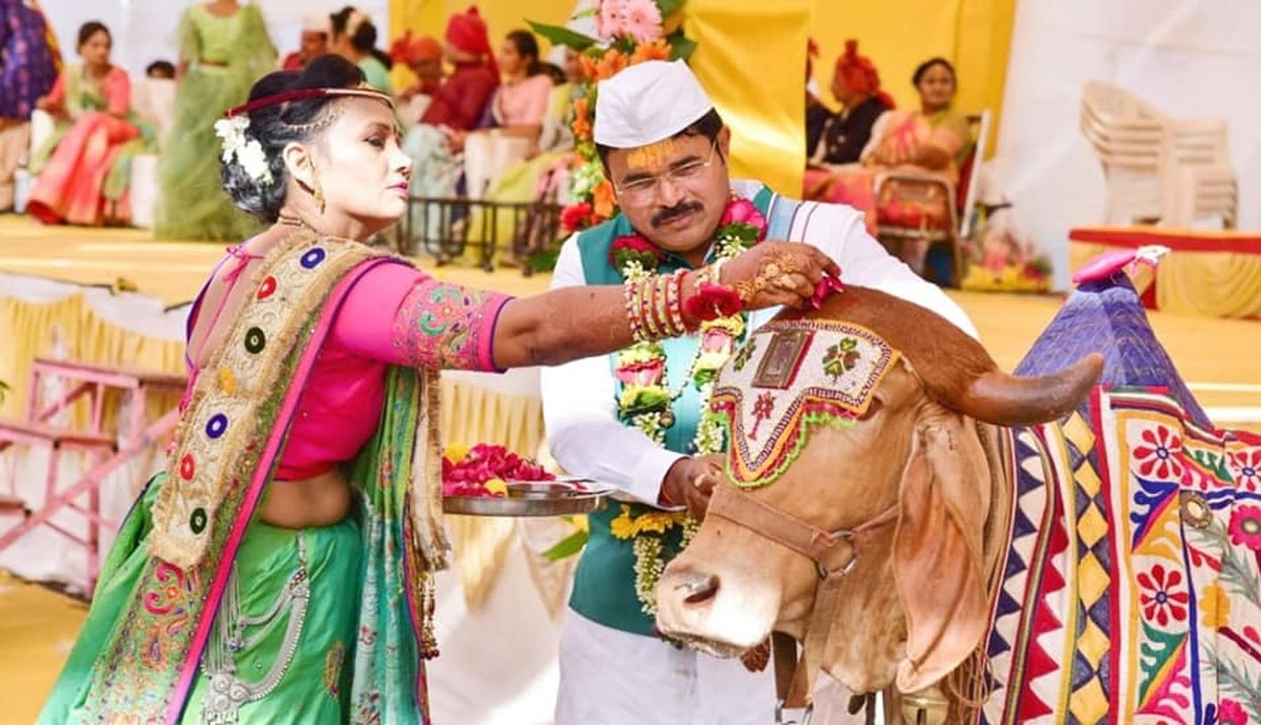 Bharuch News; गाय को साक्षी मानकर कराया बेटियों का विवाह