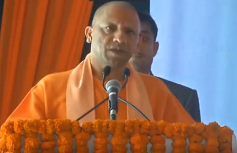 yogi.jpg