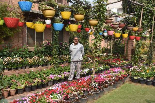 photo gallery of valley of flowers in jodhpur