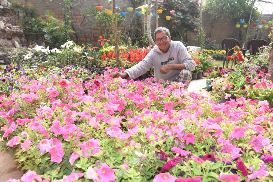 kuchaman house at merti gate jodhpur is known as valley of flowers
