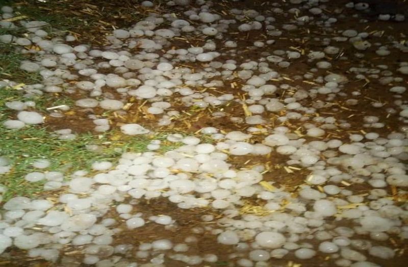 किसानों पर आफत बनकर बरस रहे ओले