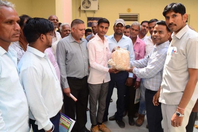 शाकाहारी लोगों में प्रोटीन की पूर्ति के लिए मशरूम अच्छा आहार