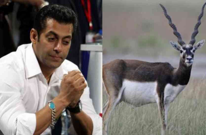 salman_khan_black_buck.jpg