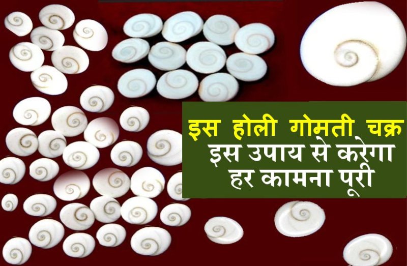 इस मंत्र को बोलते हुए केवल इतने गोमती चक्र डाल दें जलती होलिका में..फिर देखें चमत्कार