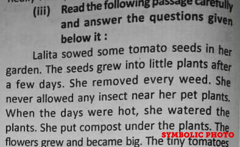 The fifth board's alleged English paper reached the market