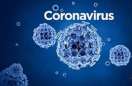 Teenaged boy from US tests negative for corona virus in Chnenai