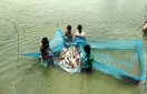 'पहले आओ, पहले पाओÓ में बटेंगे मछली पालन के 22 करोड़ रुपए