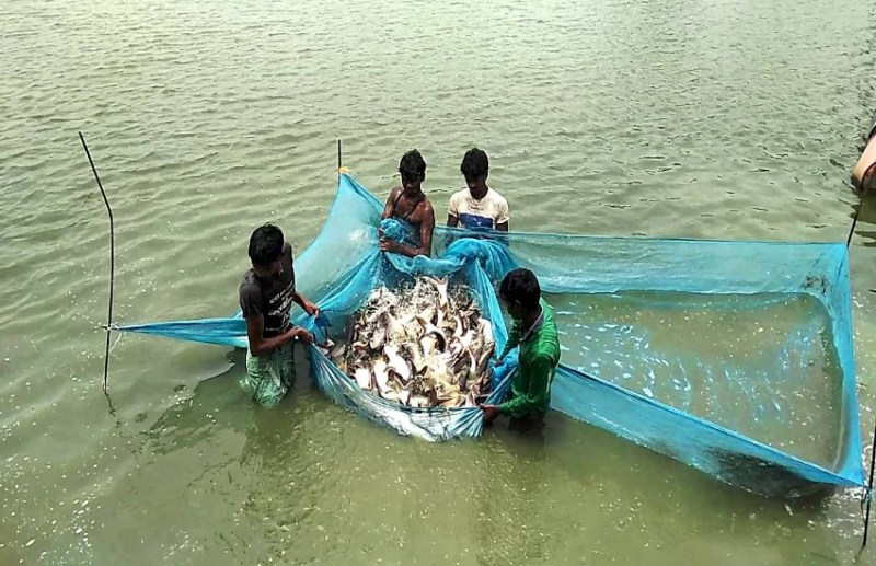 'पहले आओ, पहले पाओÓ में बटेंगे मछली पालन के 22 करोड़ रुपए