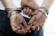 poppy dealer