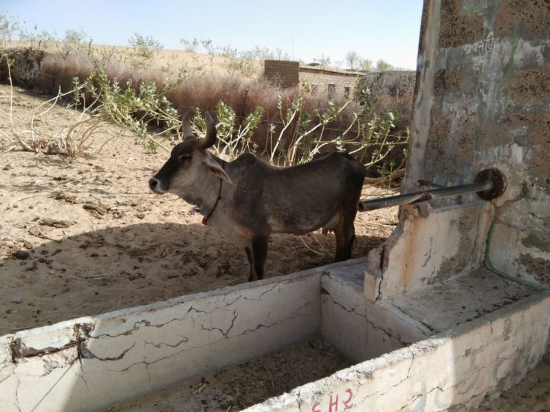 गर्मी की दस्तक के साथ सैकड़ों गांवो में पेयजल किल्लत