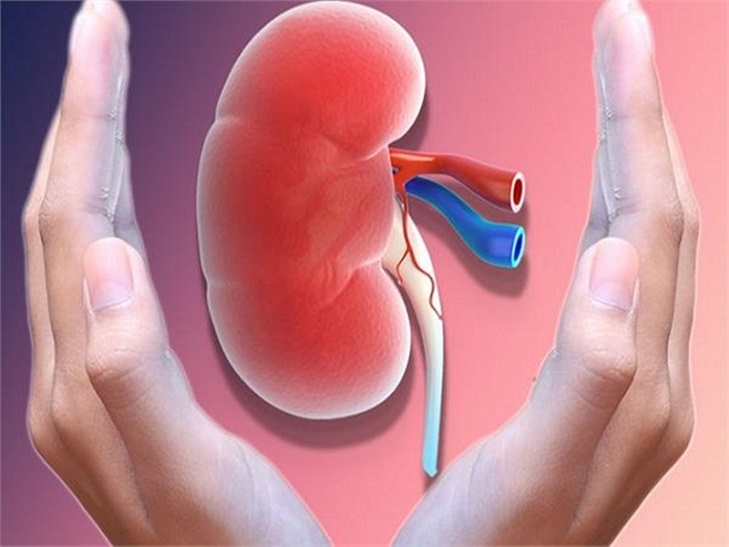 Kidney Health