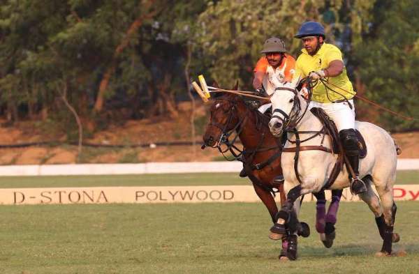 polo match jaipur