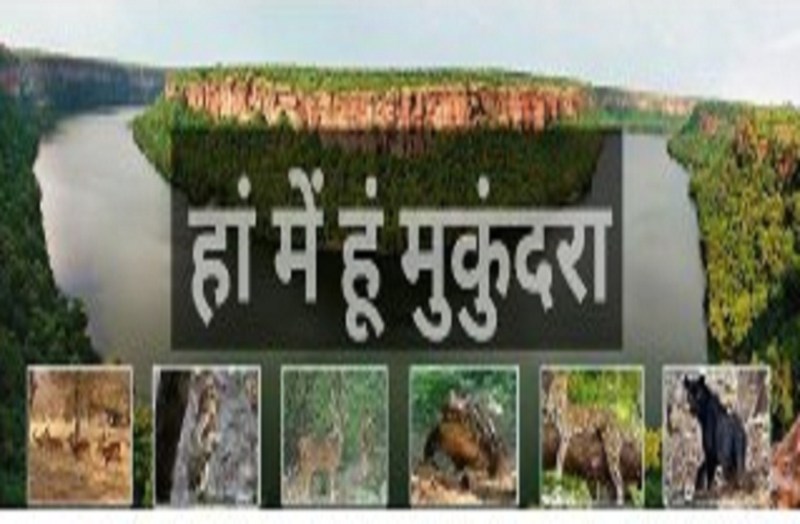 यूं ही नहीं कहते इसे मुकुन्दरा, 7 हजार से अधिक वन्यजीव, 200 पक्षियों की प्रजातियां, जड़ी बूटियों की भरमार