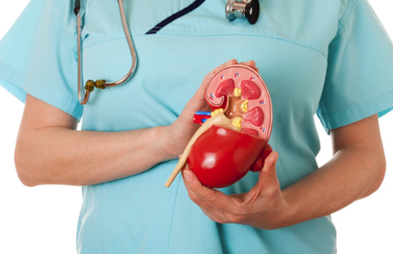 World kidney day 2020: kidney Problem and related diseases