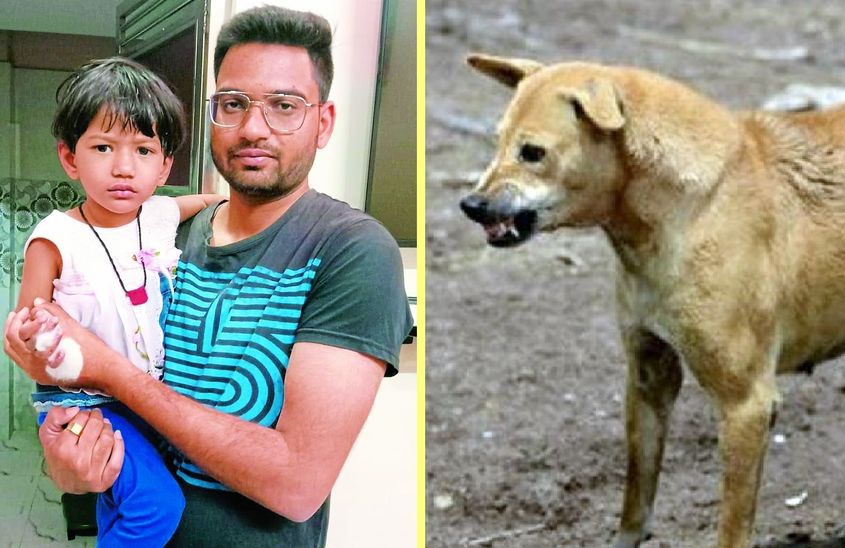 पागल श्वान ने दो दर्जन लोगों को काटा, तीन साल की बच्ची को कर दिया लहूलुहान