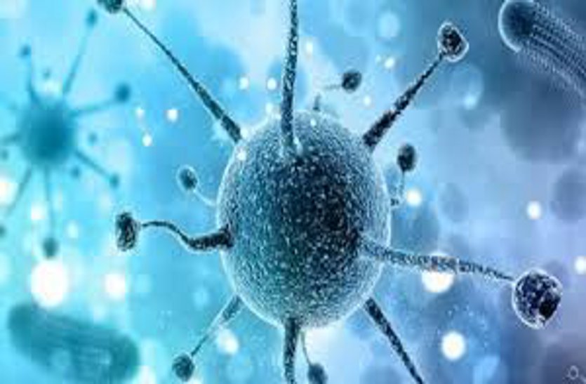Alert regarding corona virus, holiday in school colleges, separate ward created in civil hospital