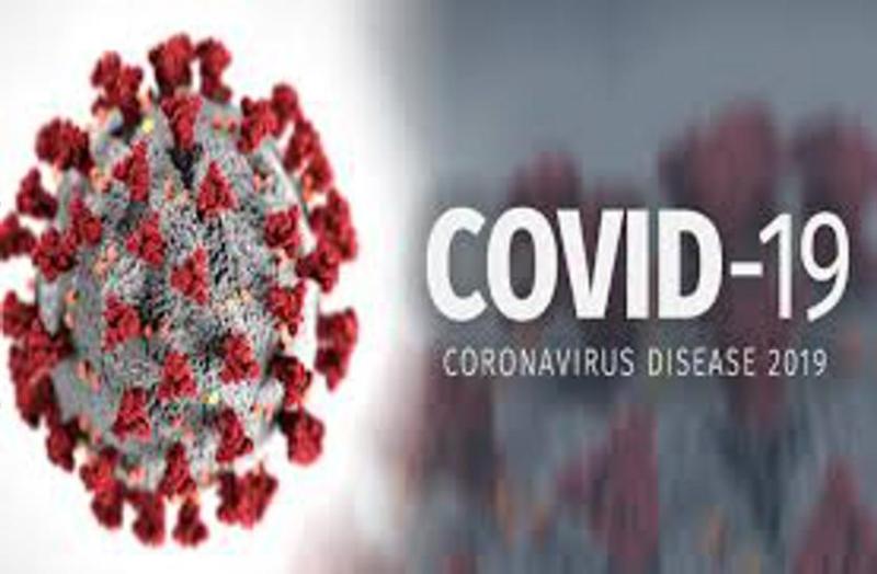 Corona virus : गुजरात में 29 तक बंद रहेंगे स्कूल-कॉलेज