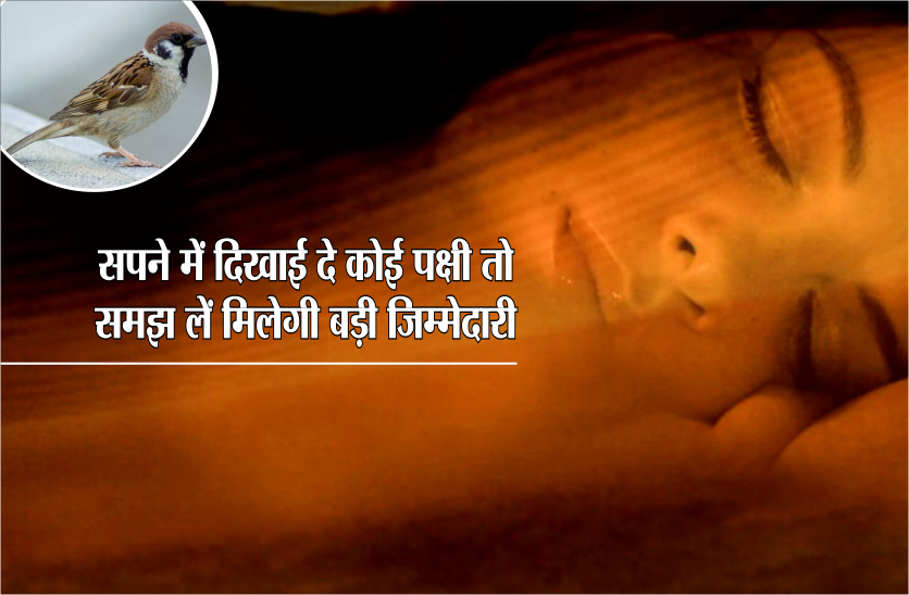 सपने में दिखाई दे कोई पक्षी तो समझ लें आपको मिलने वाली कोई बड़ी जिम्मेदारी