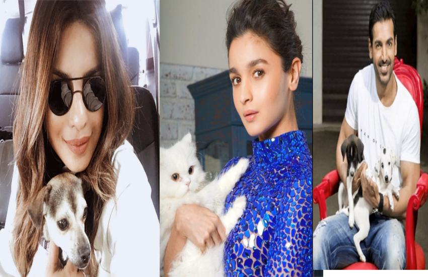 Bollywood stars pets
