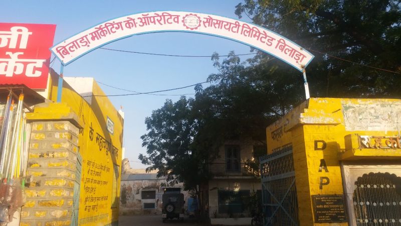 चना, सरसों खरीद के लिए पंजीकरण का कार्य कल से