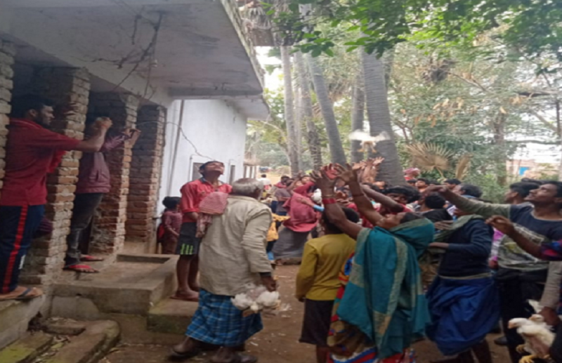 कोरोना वायरस