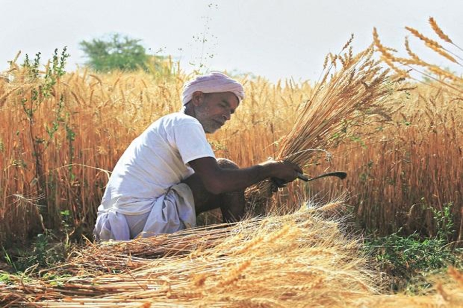 farmers are using DJ sound during harvesting in farms of jodhpur 