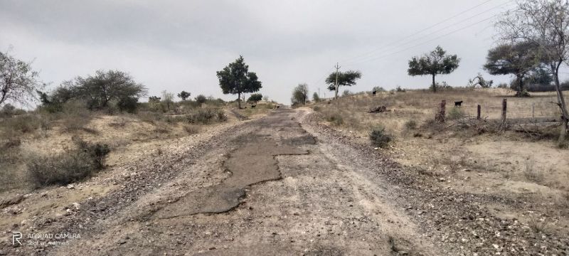 कागजों में डामरीकृत, हकीकत में पगडंडी से भी पोछे हाल