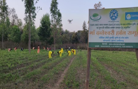बस्तर की महिलाओं ने बनाई ऐसी हर्बल चाय जो कोरोना सहित कई गंभीर रोगों का करती है सफाया