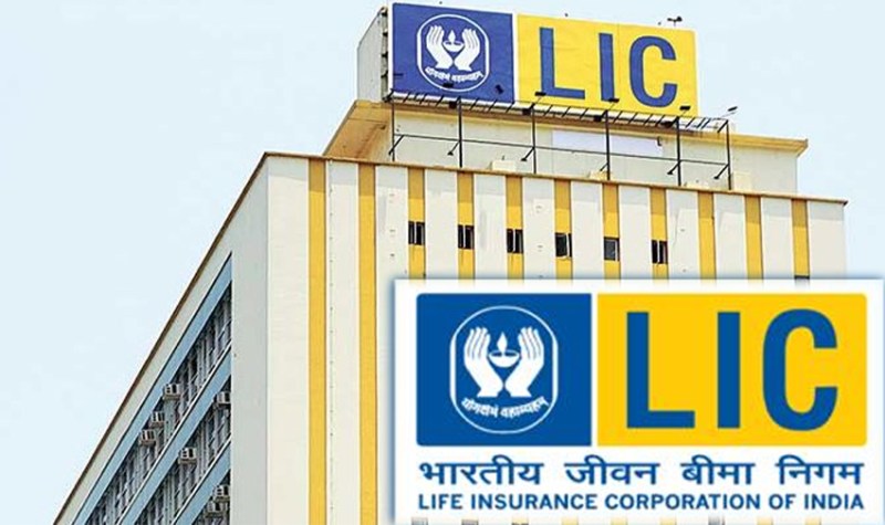 lic policy