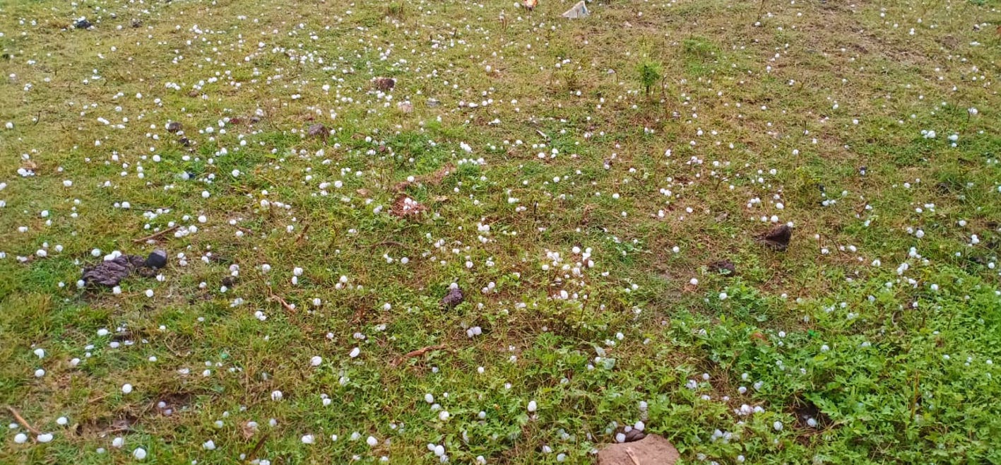 Hail fell in the district with rain