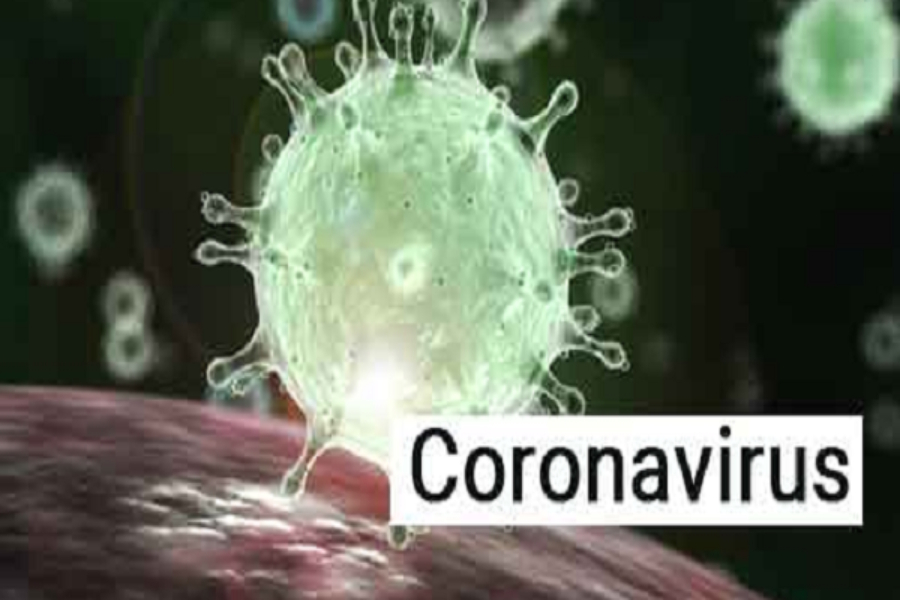 coronavirus screening of foreign tourists by CMHO jodhpur