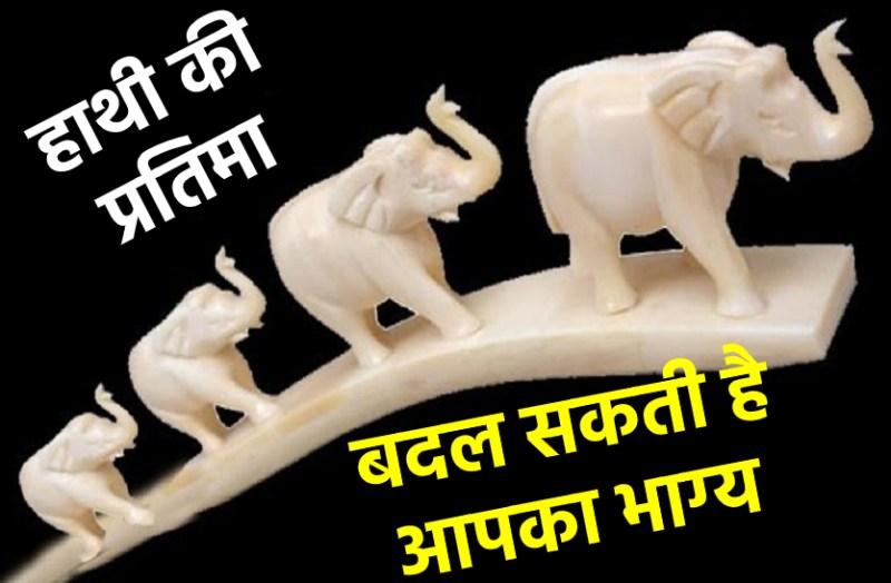 fengshui elephant at home can be useful