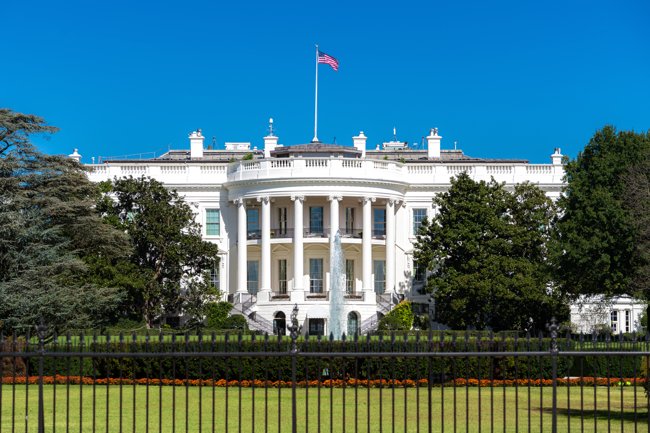 white house
