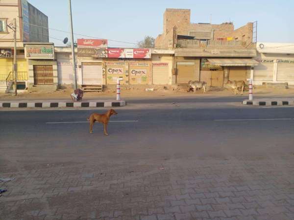 lockdown conditions in jodhpur after coronavirus outbreak in india
