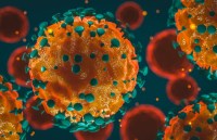 coronavirus.jpg
