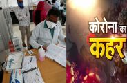gmsh chandigarh