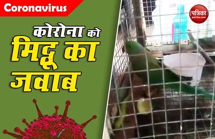 VIDEO: कोरोना के खिलाफ जंग में मिट्ठू ने भी दिया साथ, पिंजरे में चोंच मारकर बहादुरों को किया सलाम