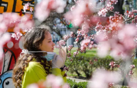 Coronavirus: क्या सूंघने की क्षमता का कम होना भी है कोरोना का लक्षण? जानें क्या कहते हैं वैज्ञाानिक